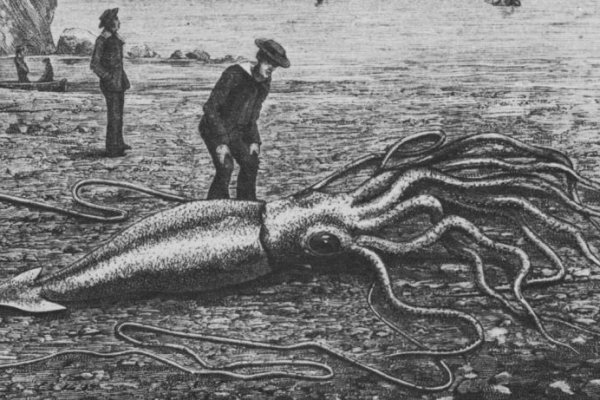 Kraken зайти на сайт