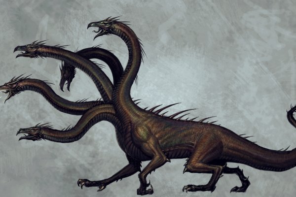 Kraken 17 at net