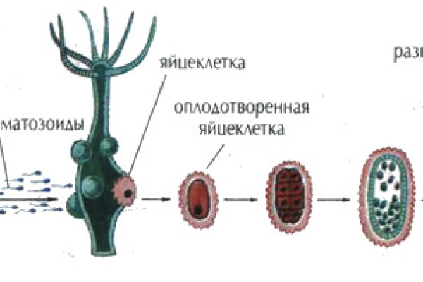 Кракен продает наркотики