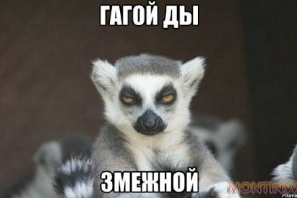 Кракен актуальная ссылка kraken torion net