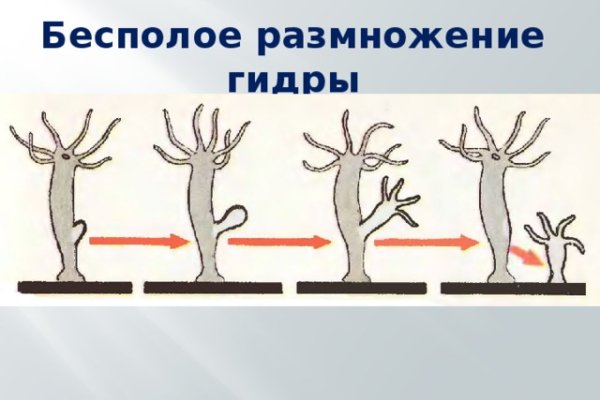 Ссылки на кракен at