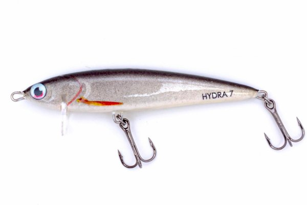 Kraken 24 top