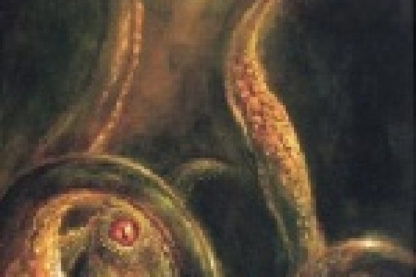 Kraken online
