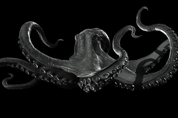 Kraken13at